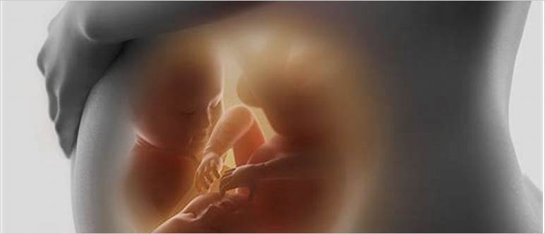 Twins in utero pictures